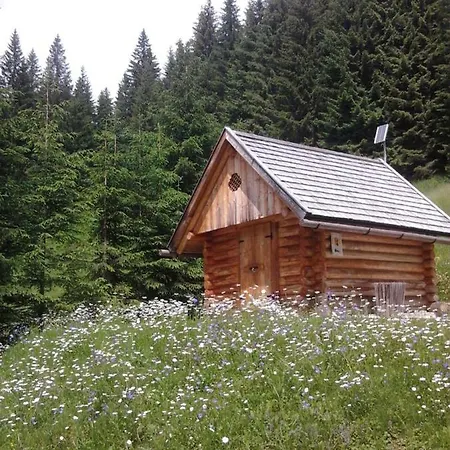 Apartment Annarita Sappada